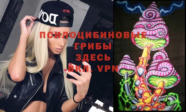 эйфоретик Осташков