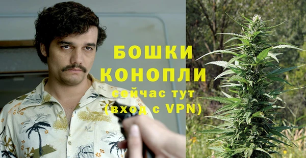 эйфоретик Осташков