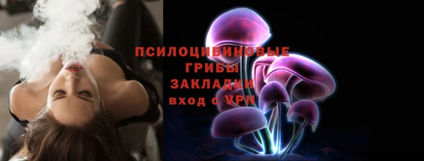 соль курить ск Няндома