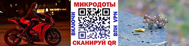 Псилоцибиновые грибы прущие грибы  Пыталово 